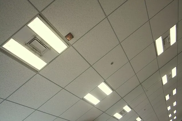 Back-of-House / Corridors